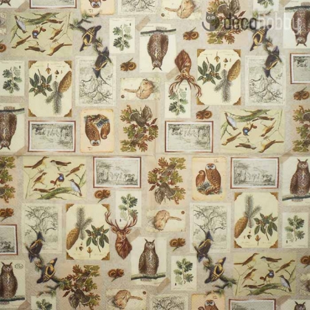 Oszi szalveta Botanical Collage Decohobby