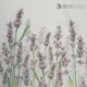 Levendulas szalveta Lavender Shades white Decohobby