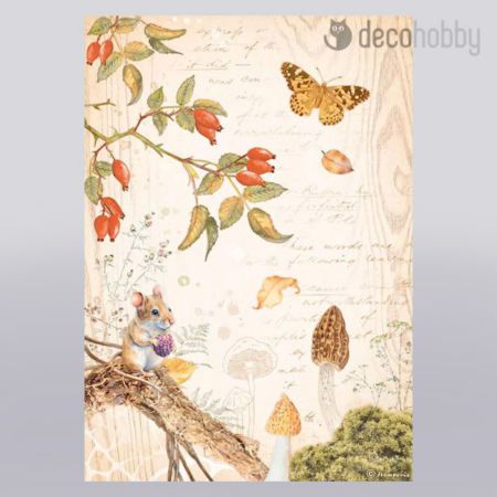 Stamperia rizspapir A4 DFSA4817 Woodland butterfly Decohobby